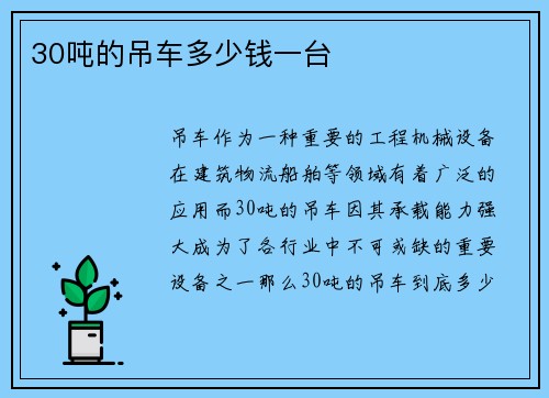 30吨的吊车多少钱一台
