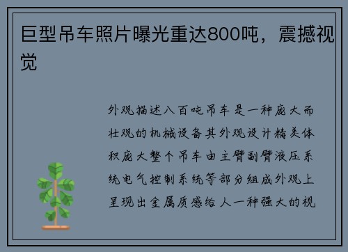 巨型吊车照片曝光重达800吨，震撼视觉
