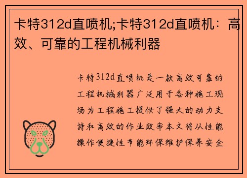 卡特312d直喷机;卡特312d直喷机：高效、可靠的工程机械利器