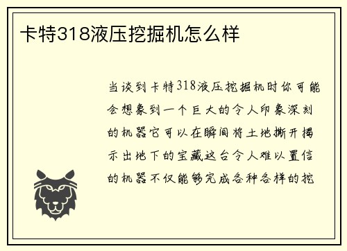 卡特318液压挖掘机怎么样